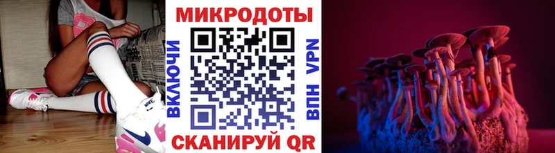 Галлюциногенные грибы Psilocybine cubensis  Купить закладки  Грязи 